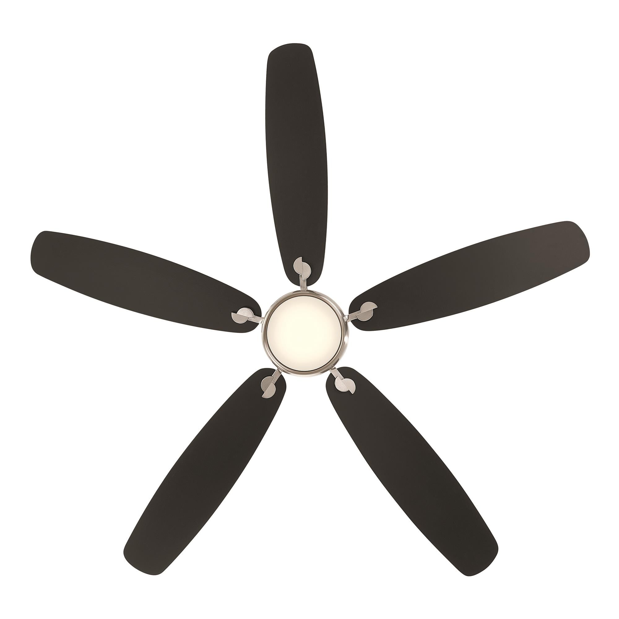Shown in Brushed Nickel and Coal finish and Matte Lens glass