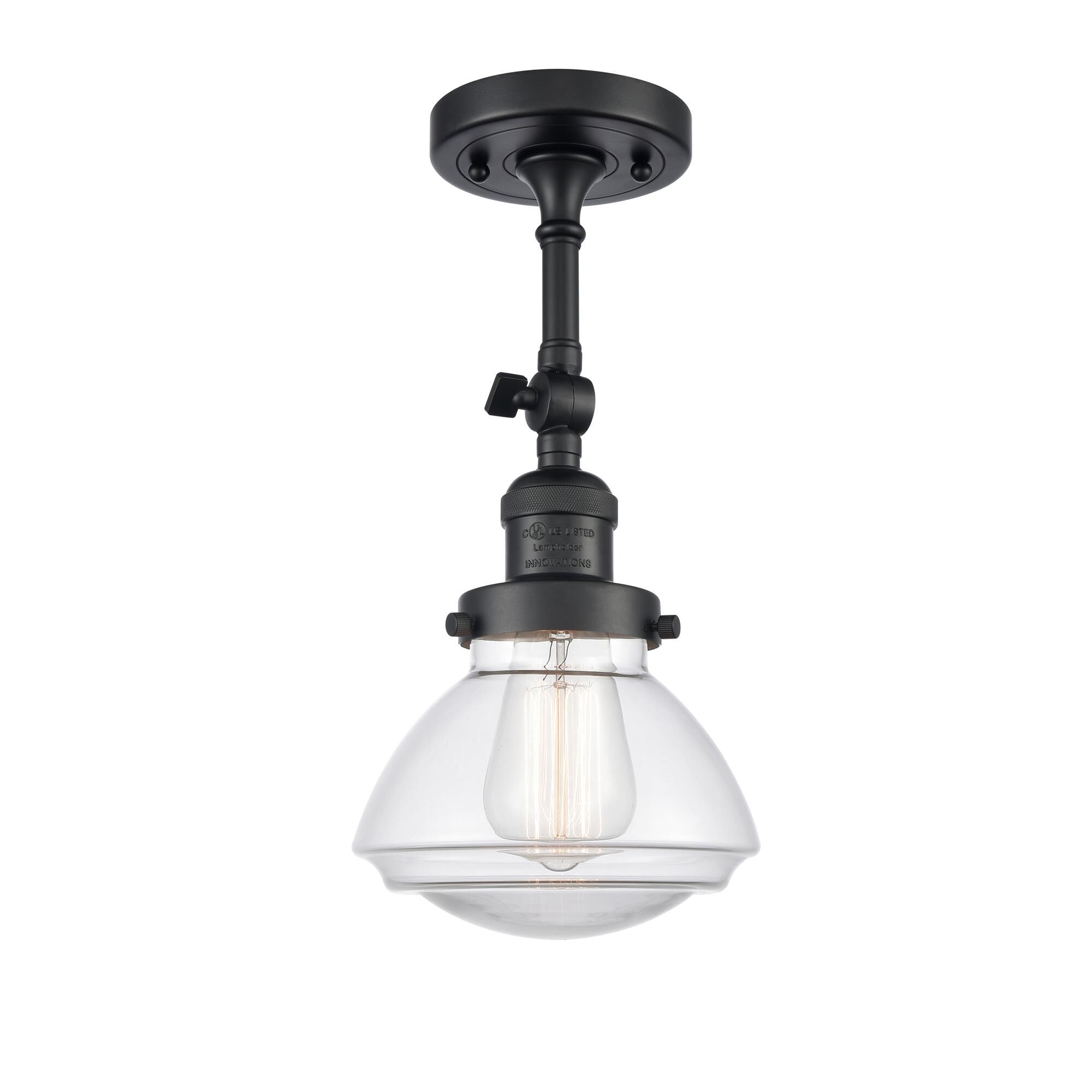 Shown in Matte Black finish and Transparent  Clear Olean glass and Glass shade and Bulb Tint - Amber accent