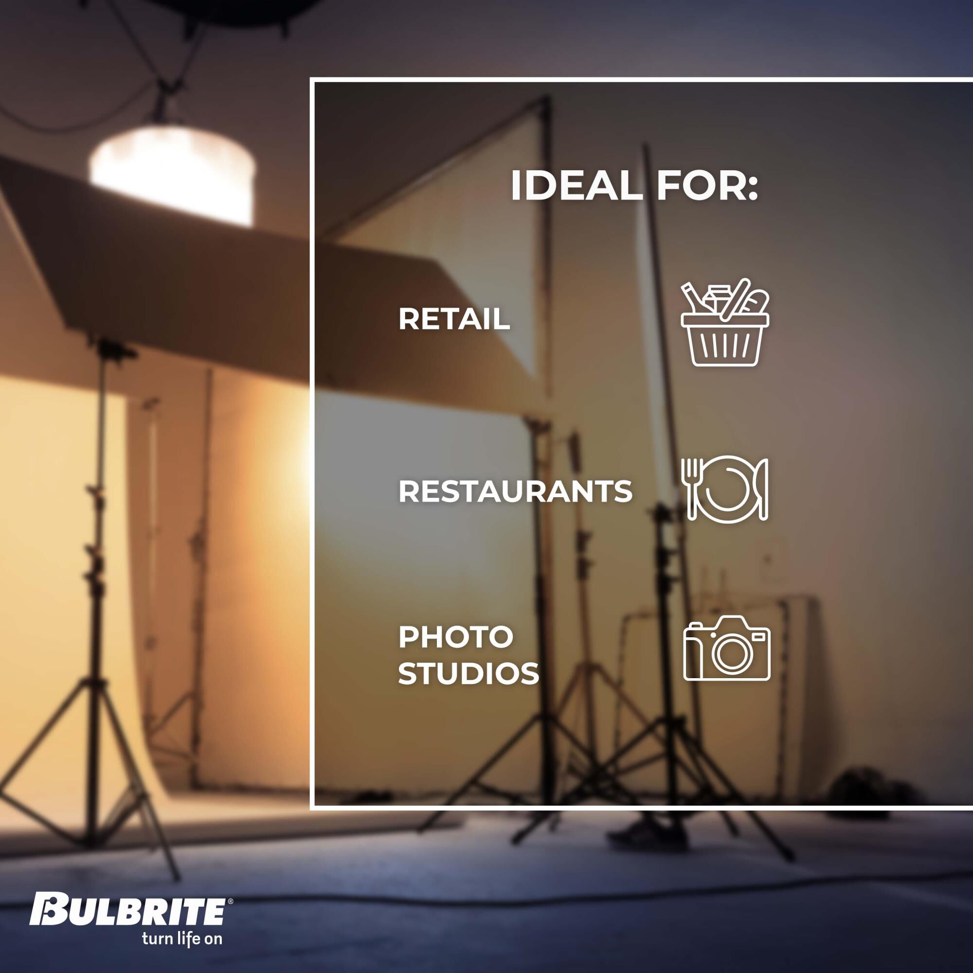 100 Watt 2700K A21 Incandescent Light Bulb by Bulbrite