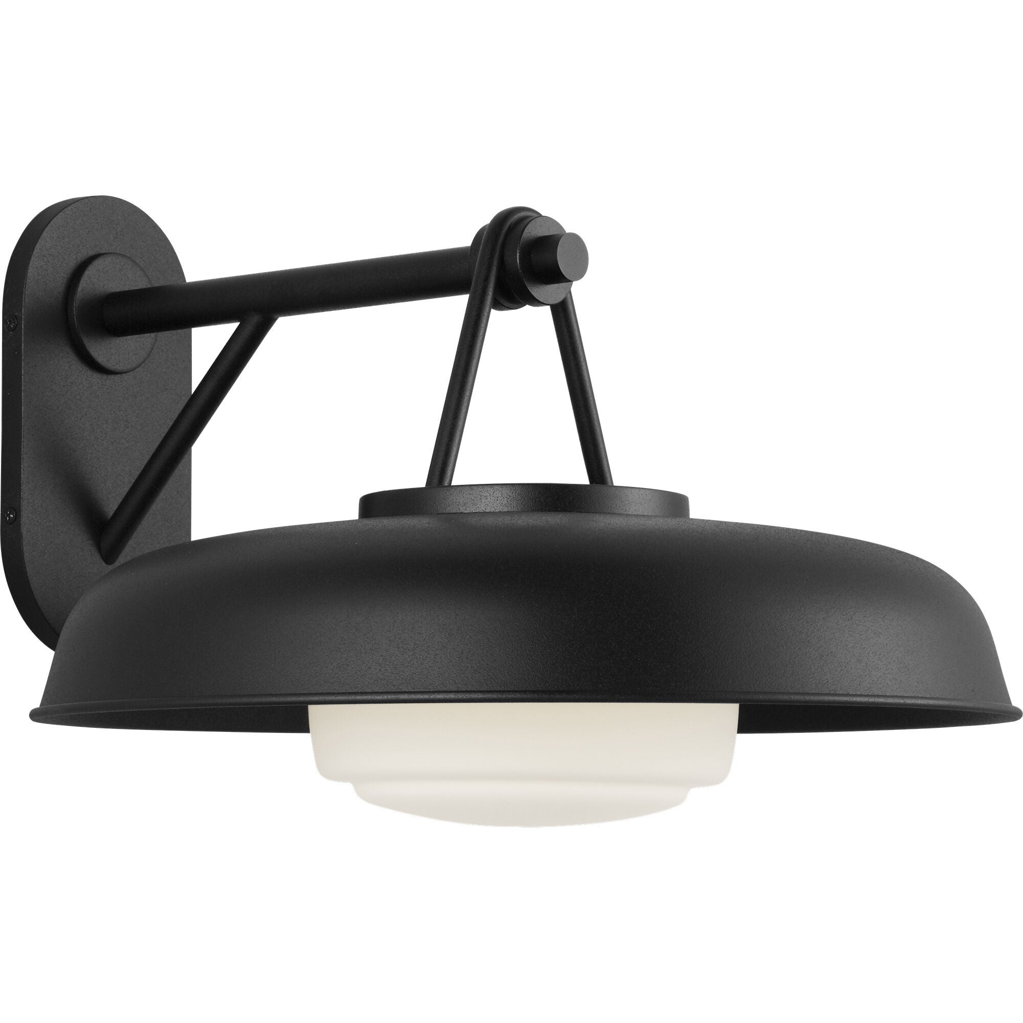 Liora 11 Inch Outdoor Wall Light,