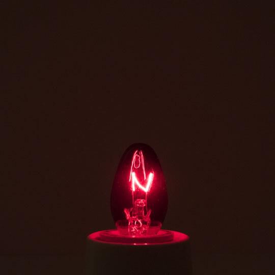 5 Watt C7 Novelty Light Bulb,