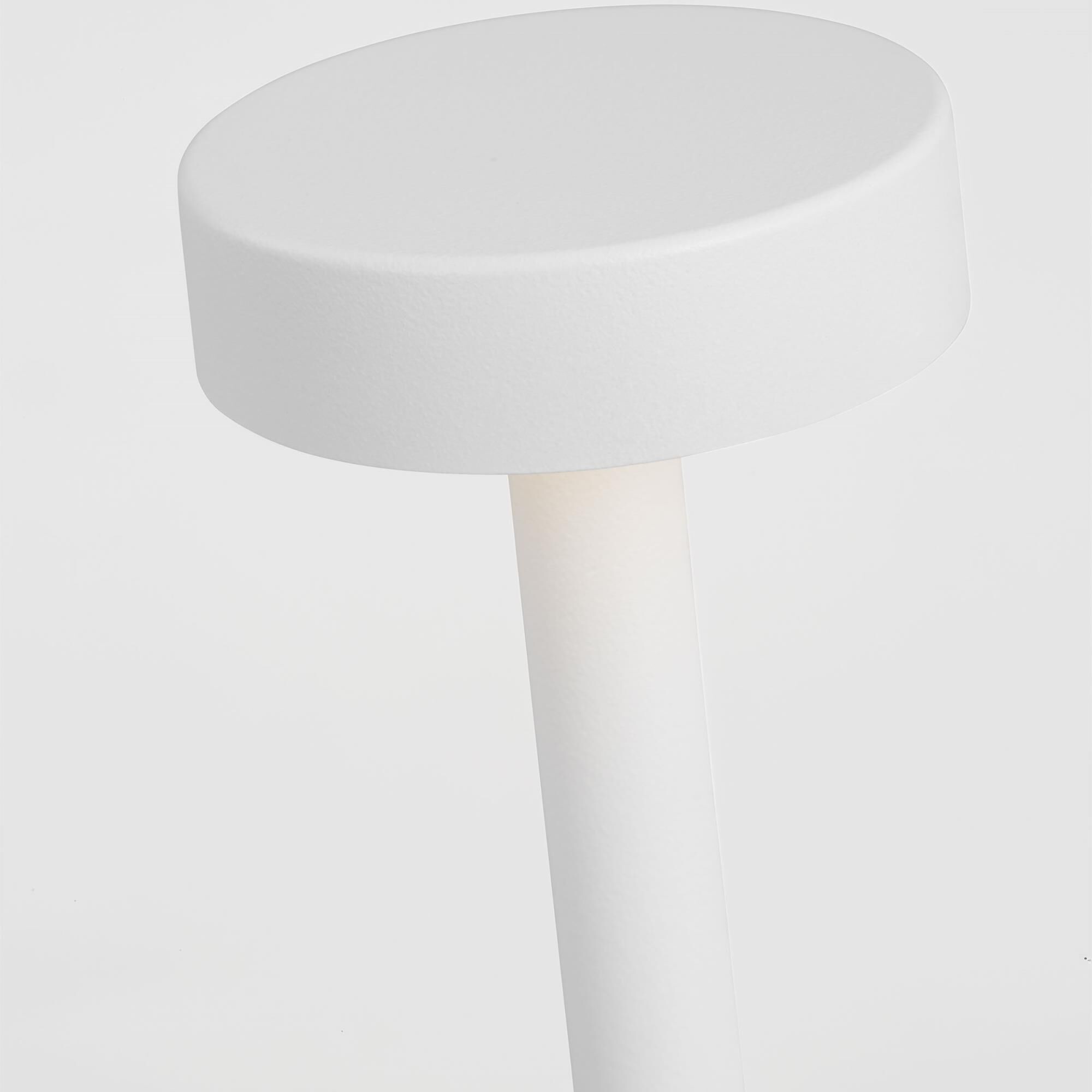 Sean Lavin Moneta 13 Inch Accent Lamp,