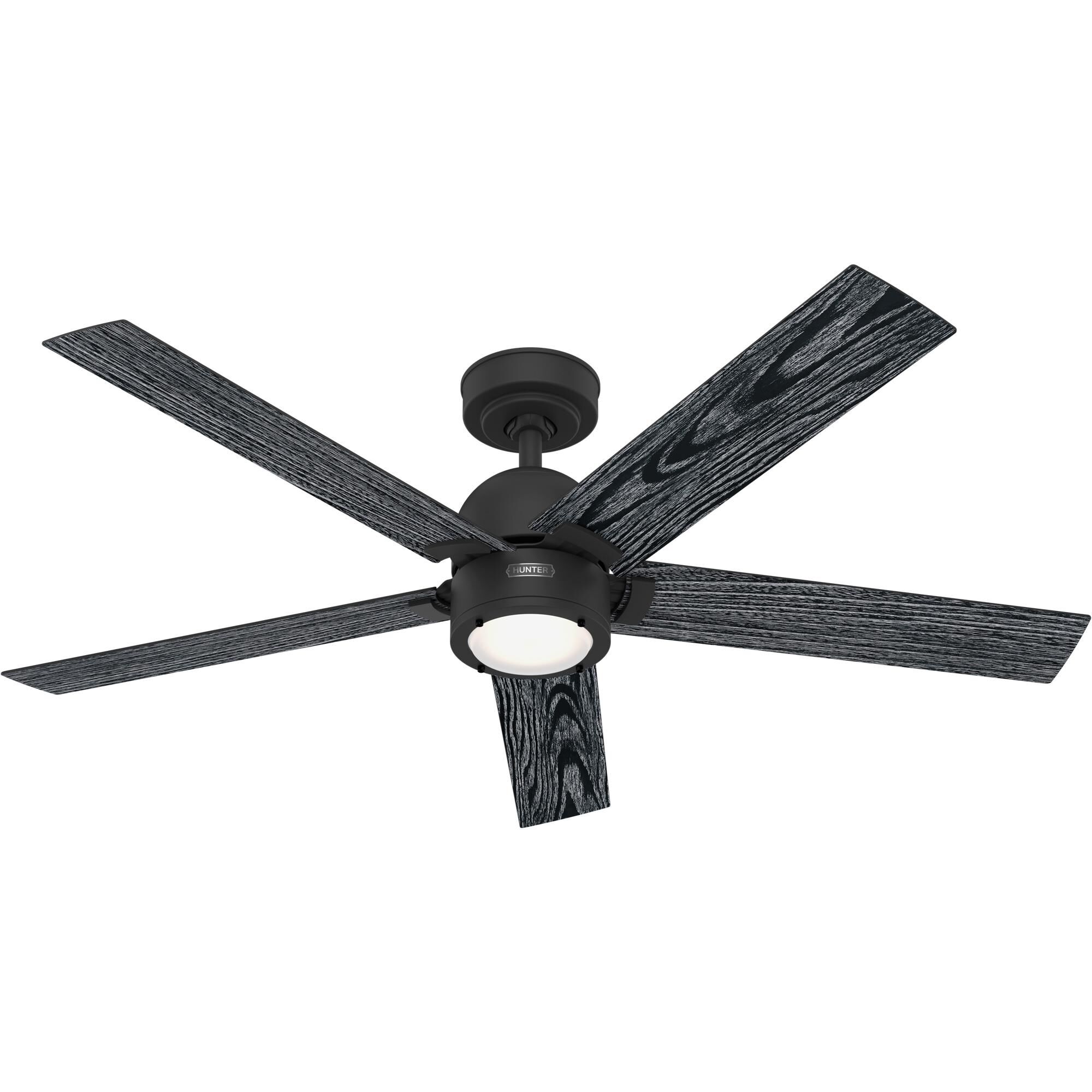 Erling 52 Inch Ceiling Fan by Hunter Fan