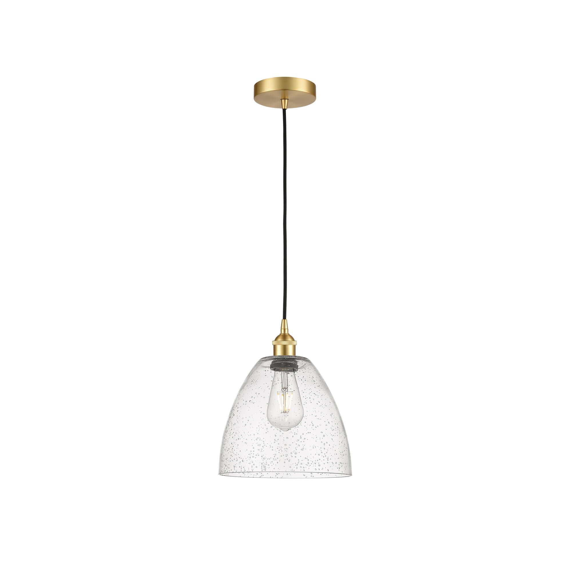 Bruno Marashlian Edison Dome 9 Inch Mini Pendant by Innovations Lighting