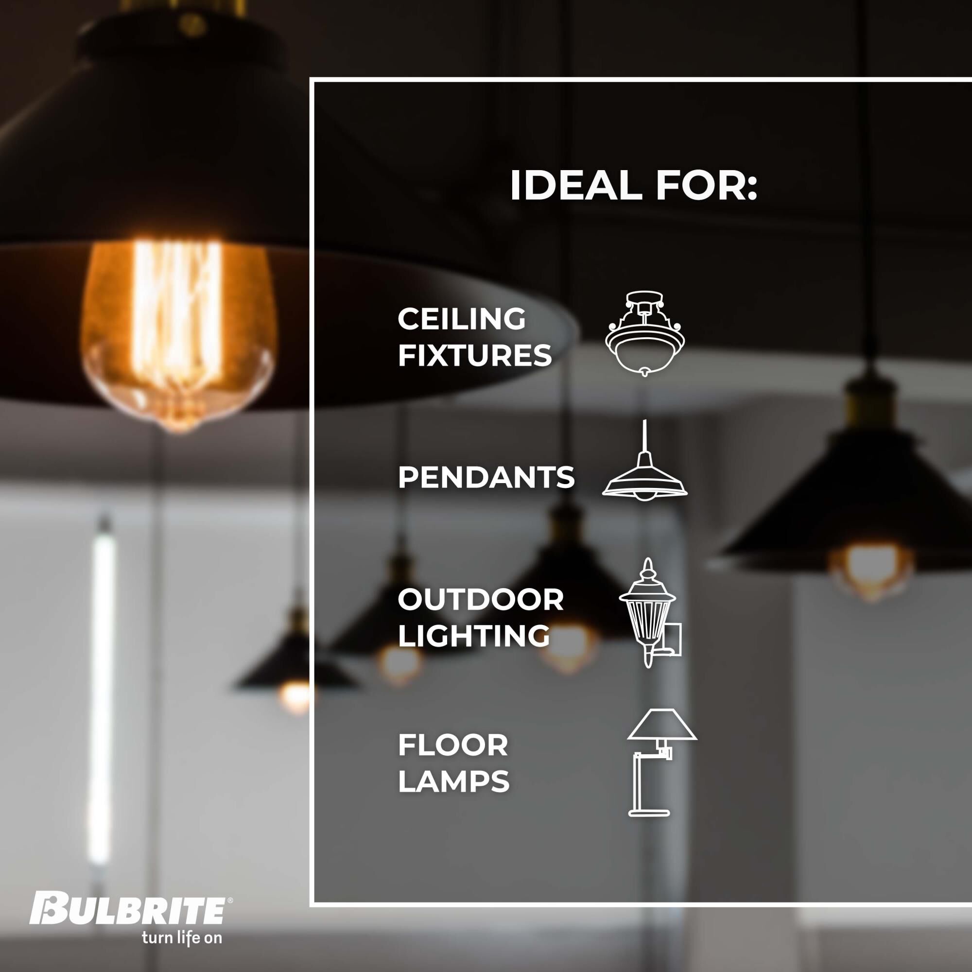 Dimmable 3 Watt 2100K ST18 LED Light Bulb by Bulbrite