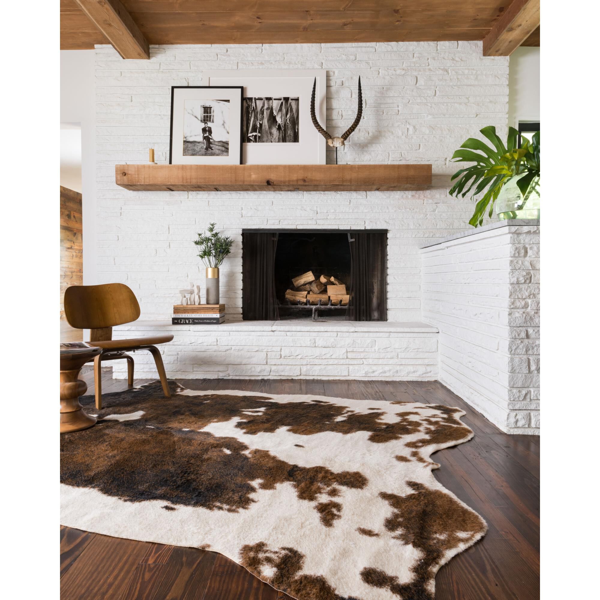 Grand Canyon Area Rug by Loloi Rugs