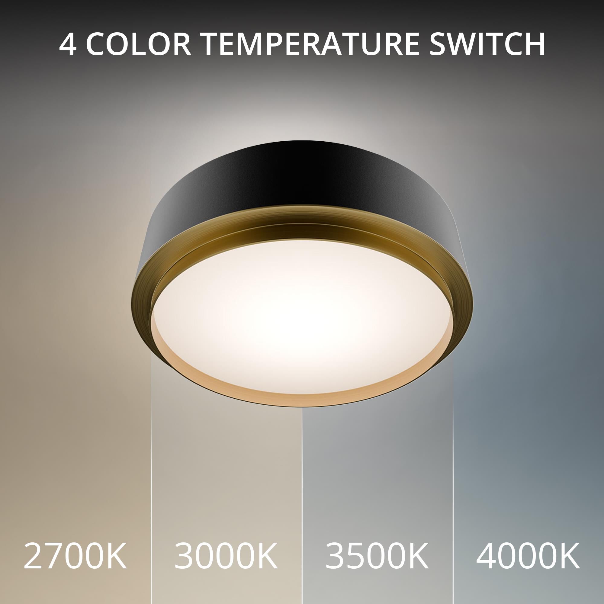 Salvo 12 Inch Flush Mount by dweLED