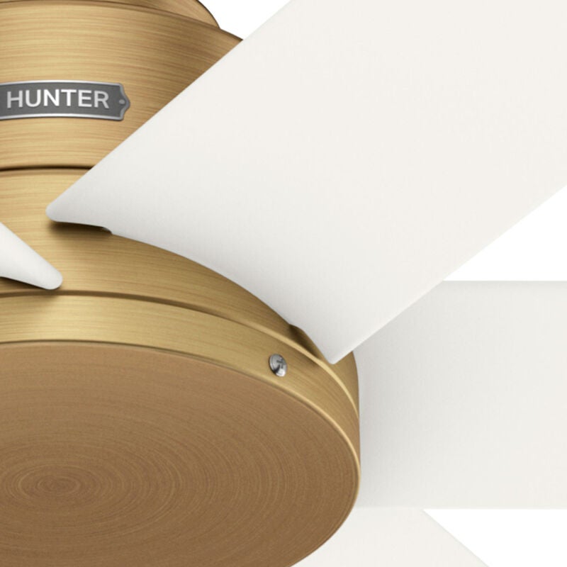 Kennicott 44 Inch Ceiling Fan by Hunter Fan