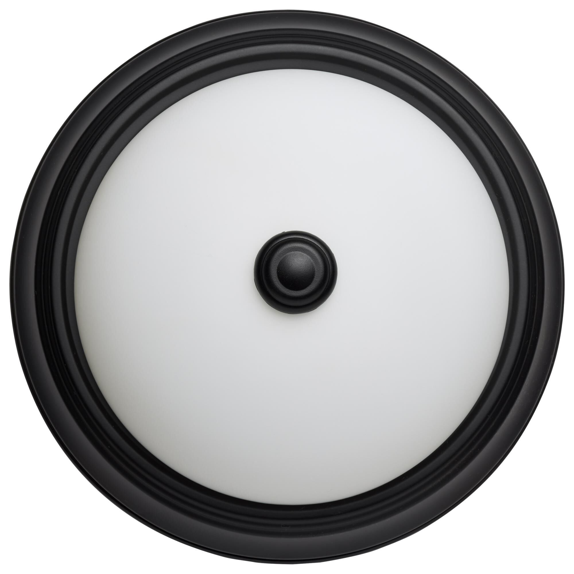 11 Inch 2 Light Flush Mount by Nuvo Lighting