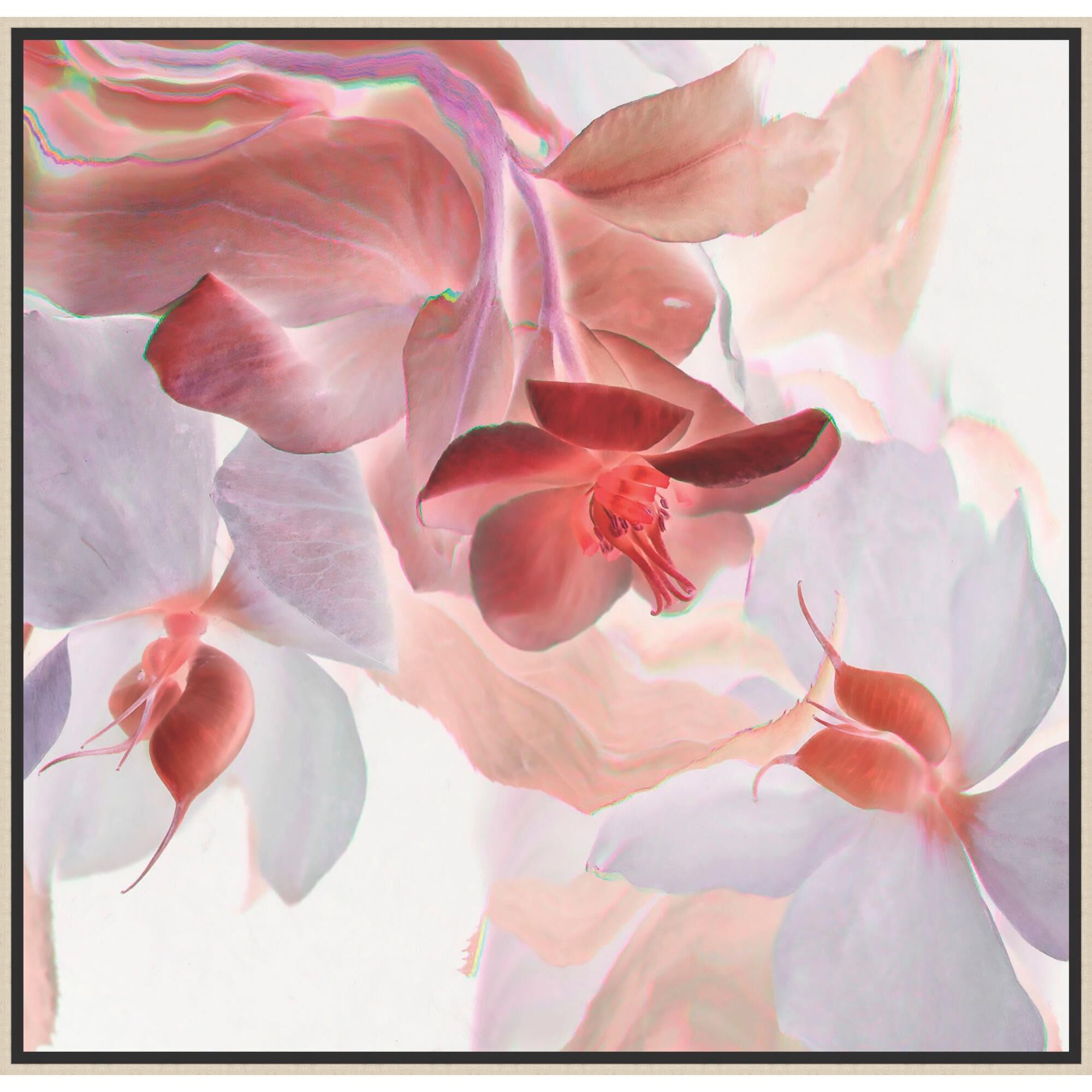 Prismatic Blooms Print by LEVEL57