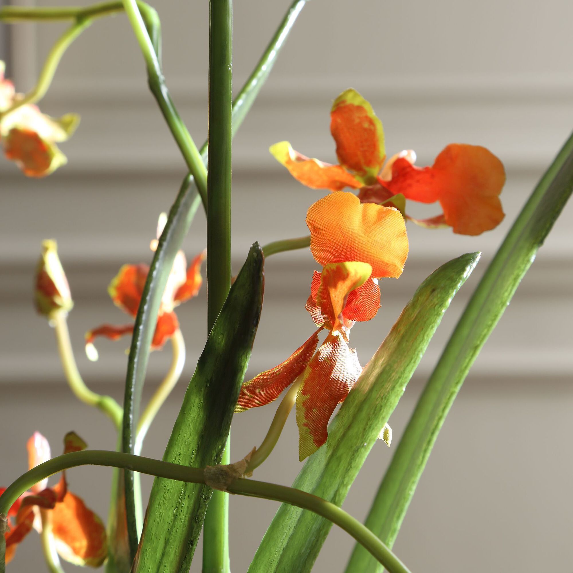 Dancing Botanical,
