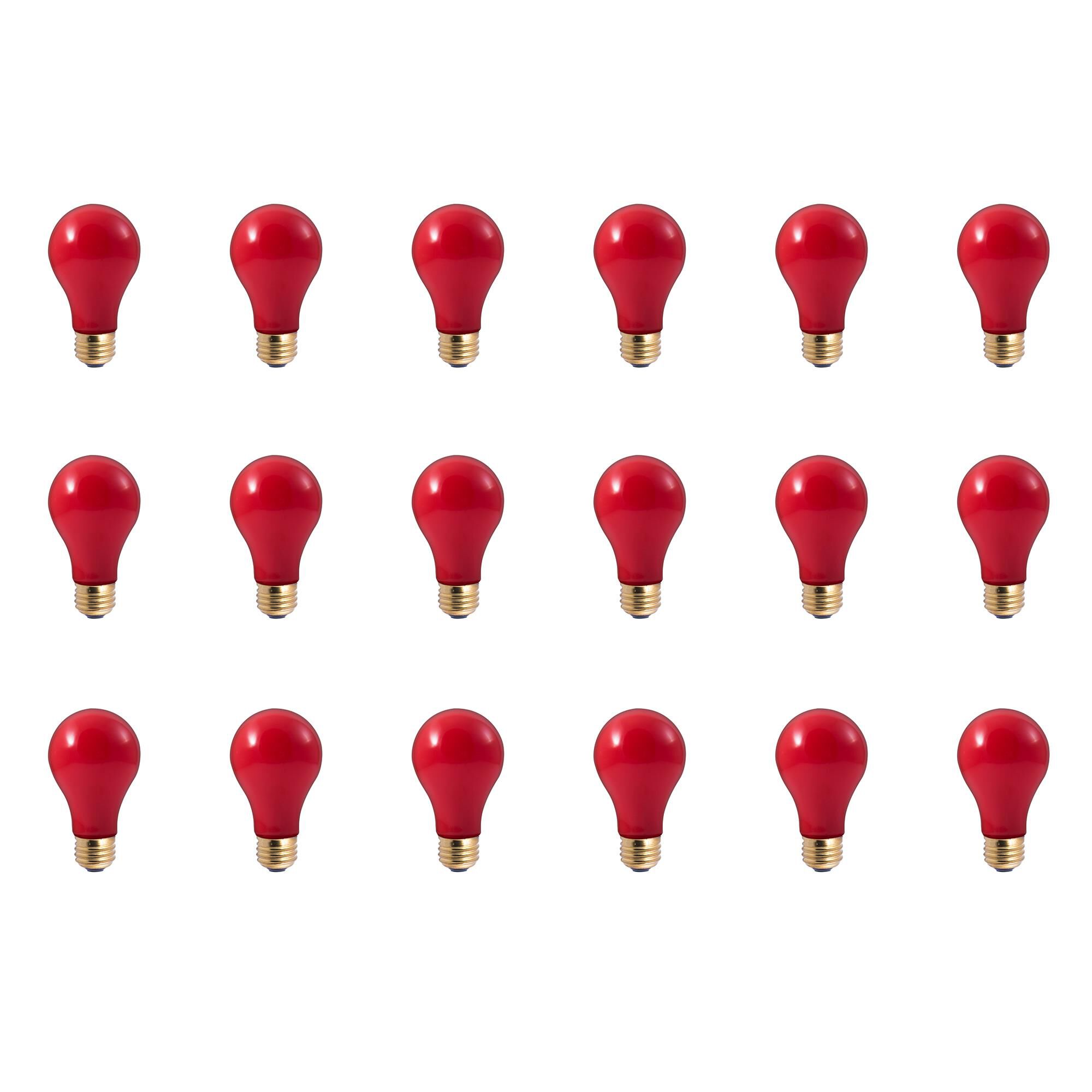 40 Watt 0K A19 Incandescent Light Bulb,