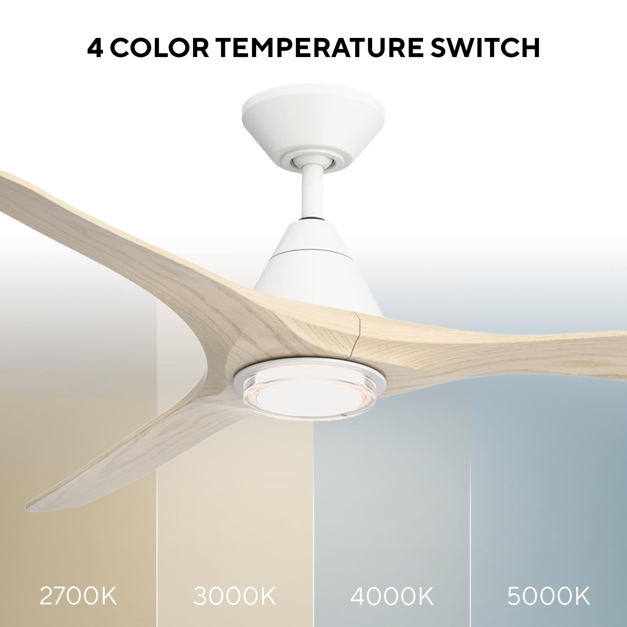 Carve 60 Inch Ceiling Fan with Light Kit by Modern Forms