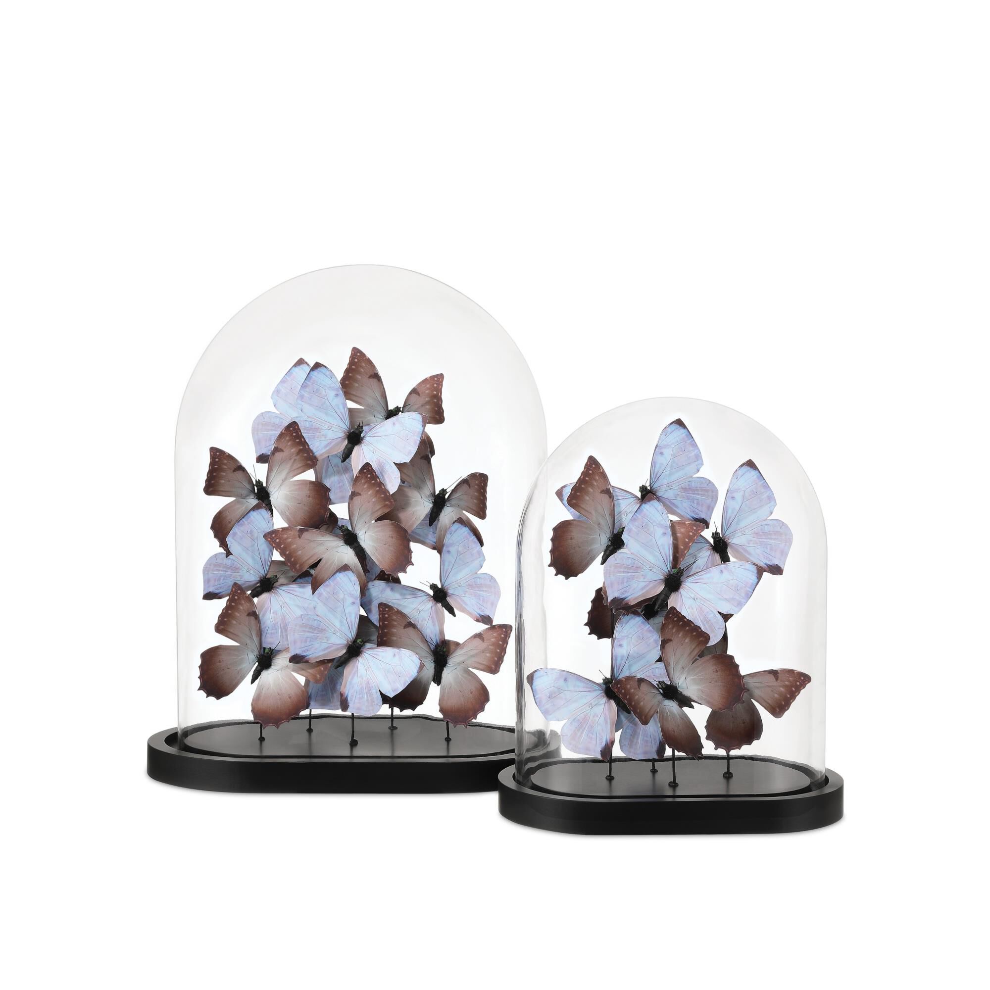 Shown in Brown, Black and Clear finish