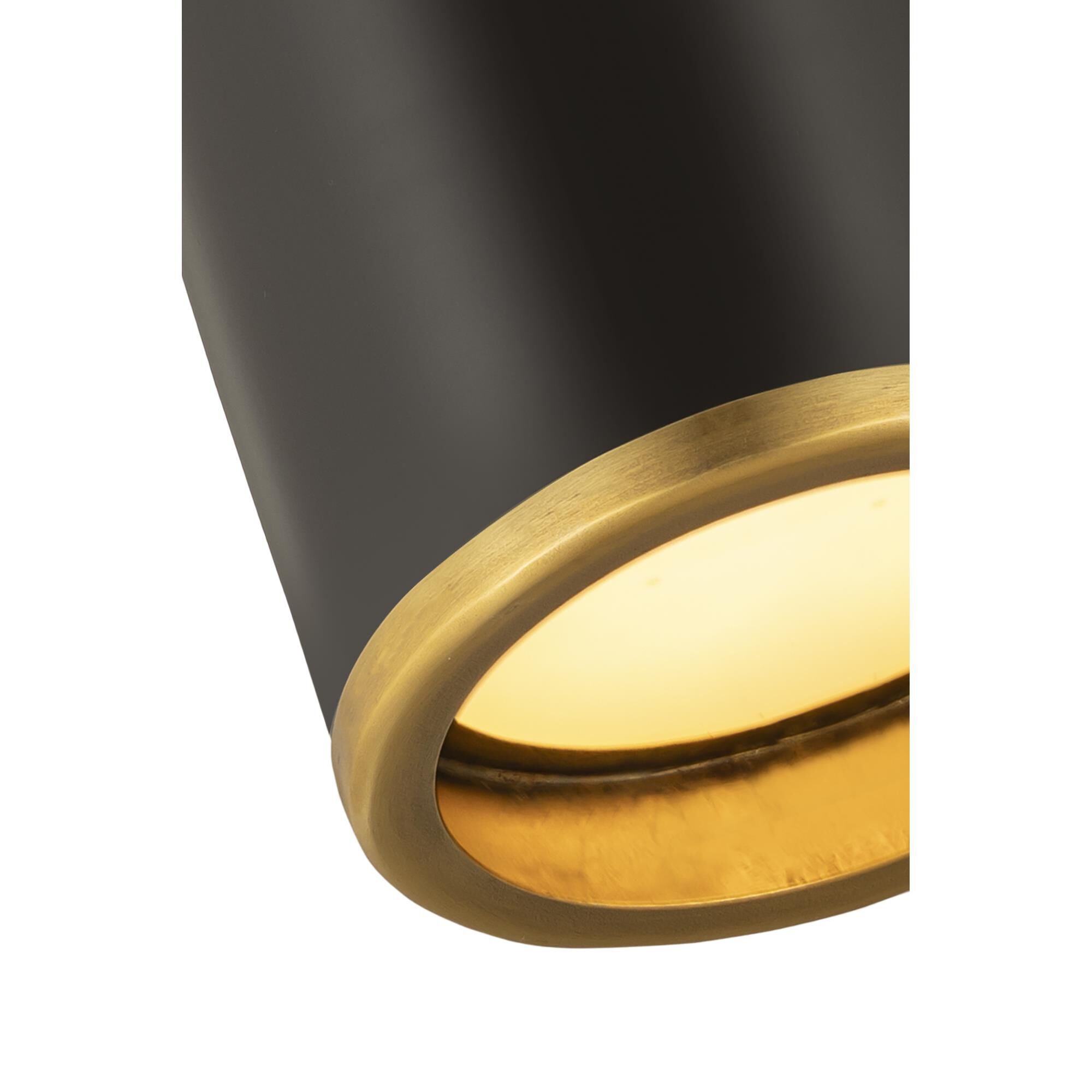 Shown in Matte Black And Rubbed Brass finish and Steel glass and Steel shade