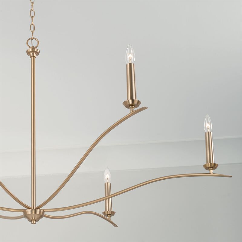 Grady 57 Inch 6 Light Chandelier by Capital Lighting Fixture Company