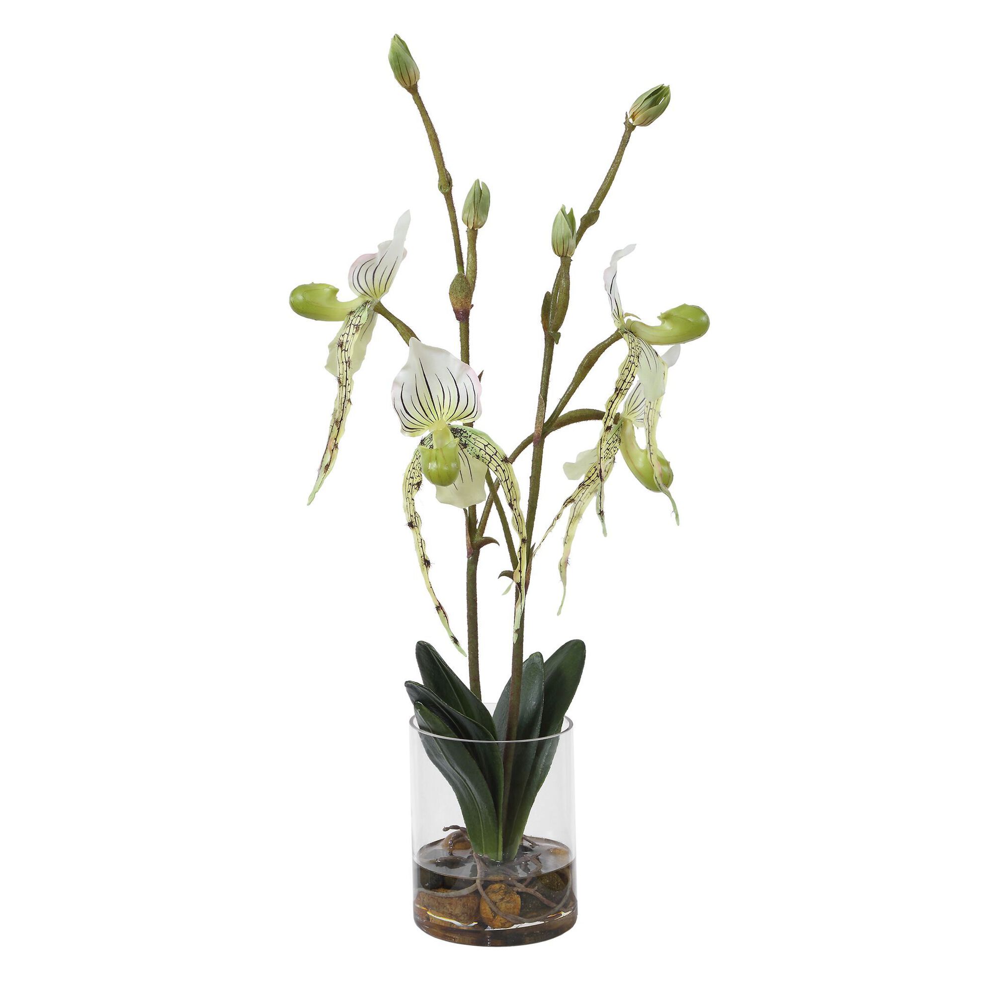 Lady Botanical,