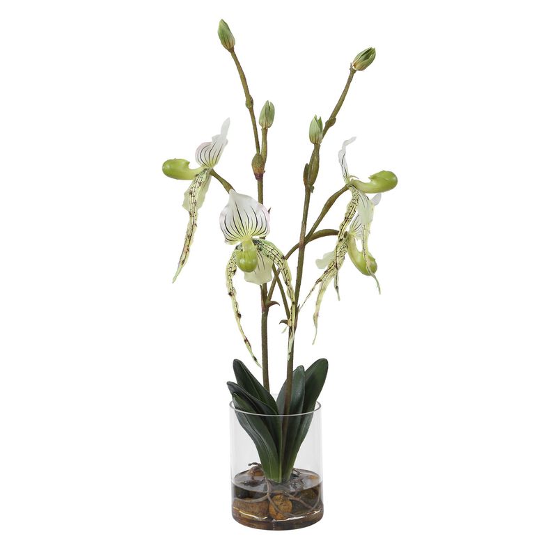 Lady Botanical by Uttermost