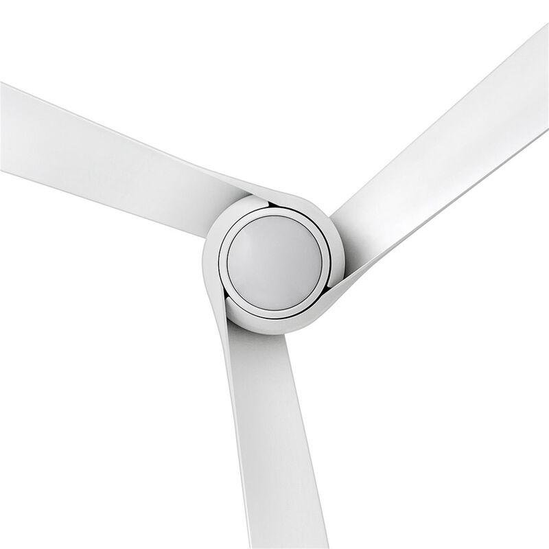 Tiburon 56 Inch Ceiling Fan with Light Kit by Hinkley