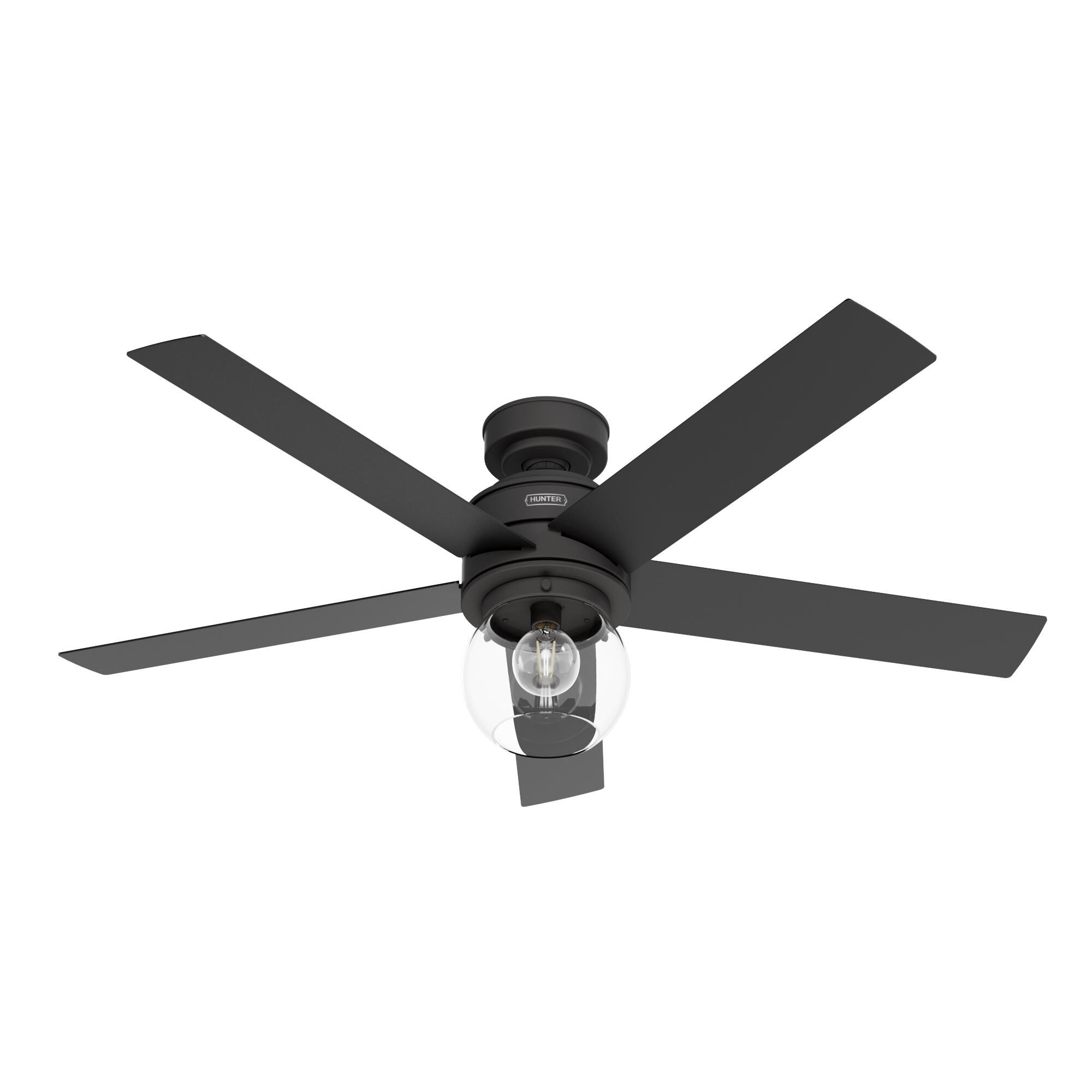 Xidane 52 Inch Ceiling Fan by Hunter Fan