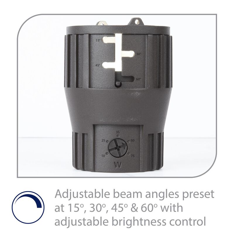 Grand 6 Inch Landscape Specialty Light by WAC Lighting