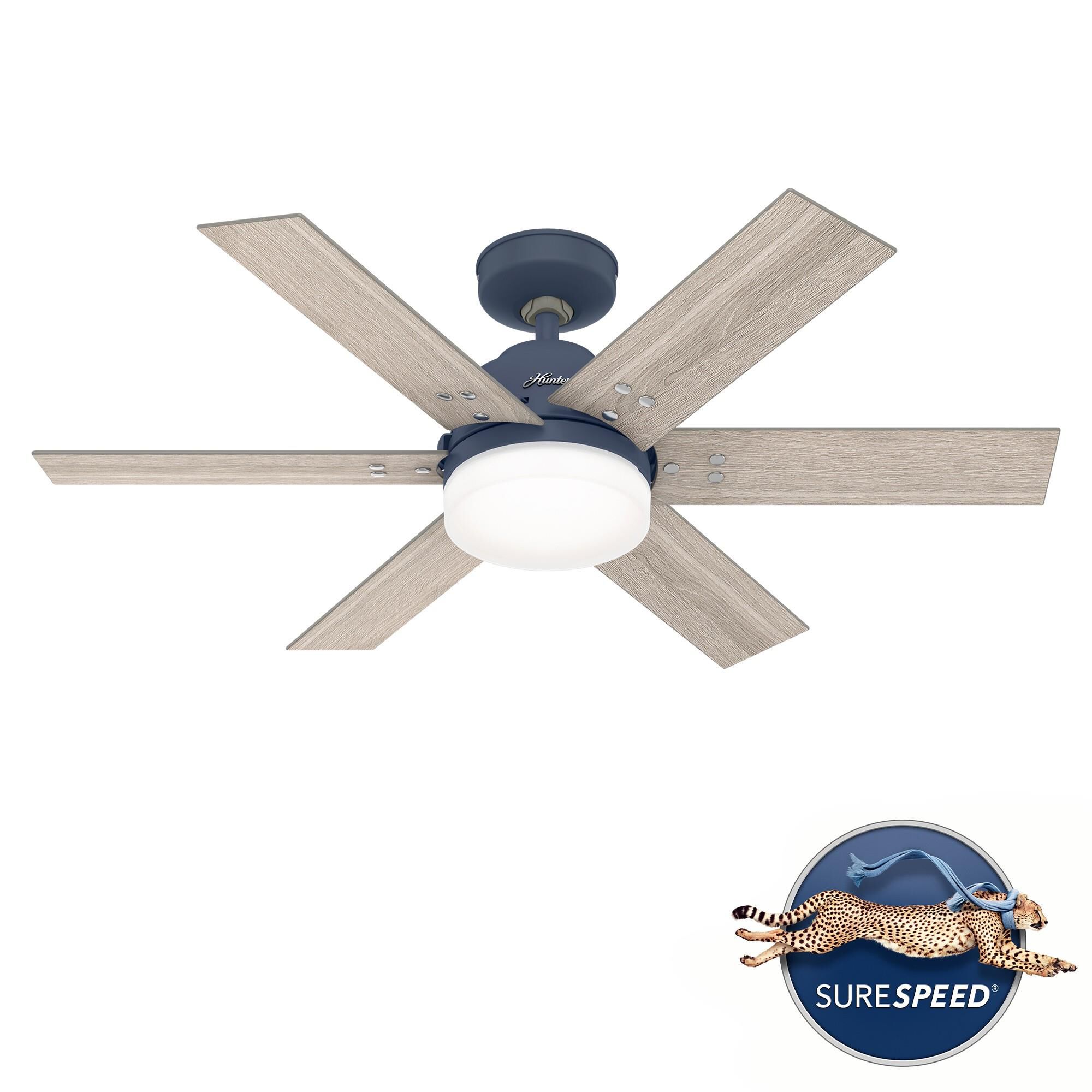 Pacer 44 Inch Ceiling Fan with Light Kit by Hunter Fan