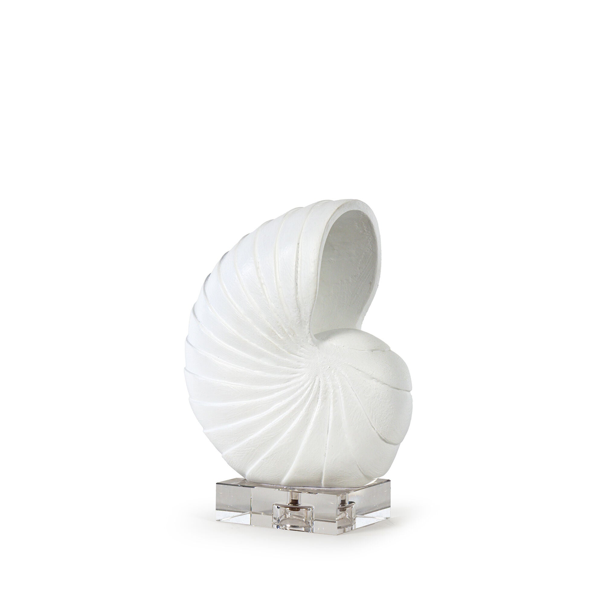Nautilus Shell Sculpture,