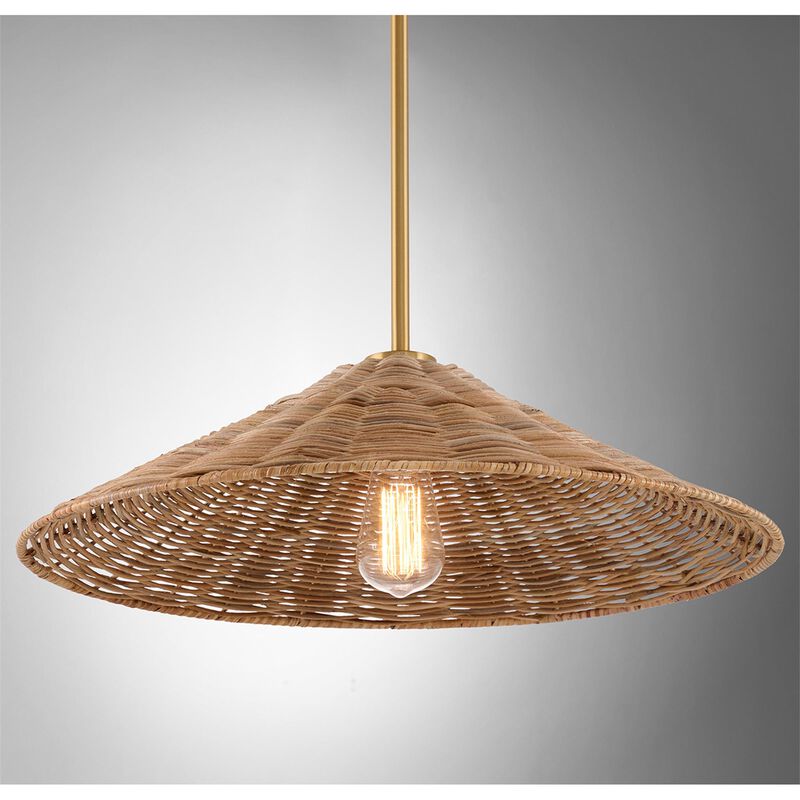 20 Inch Large Pendant by Meridian Lighting