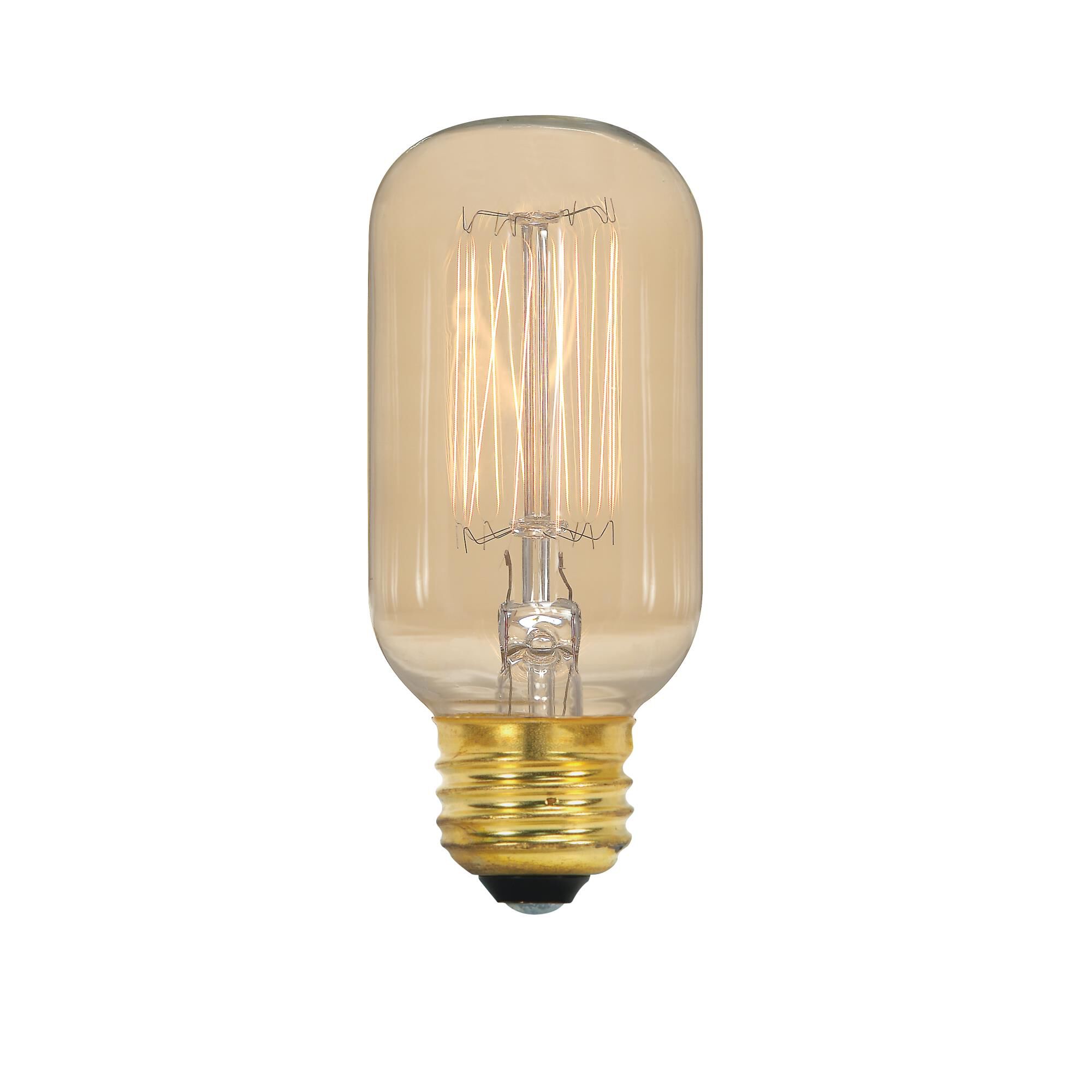 40 Watt T14 Vintage Light Bulb by Satco