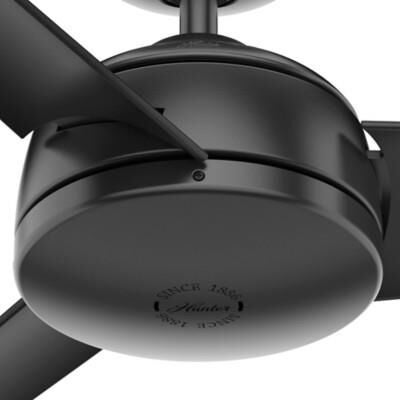 Trimaran Ceiling Fan by Hunter Fan