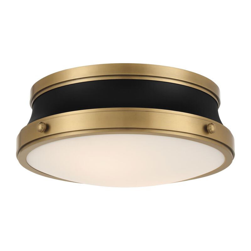Purelight 15 Inch Flush Mount by Minka Lavery