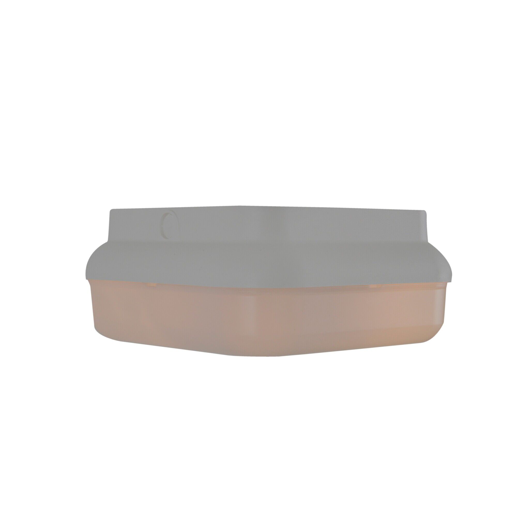 Resilience Lanterns 10 Inch Outdoor Flush Mount,