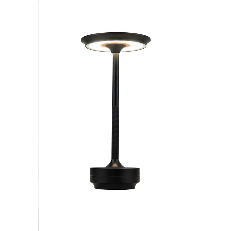 Rikki Small Table Lamp by Craftmade