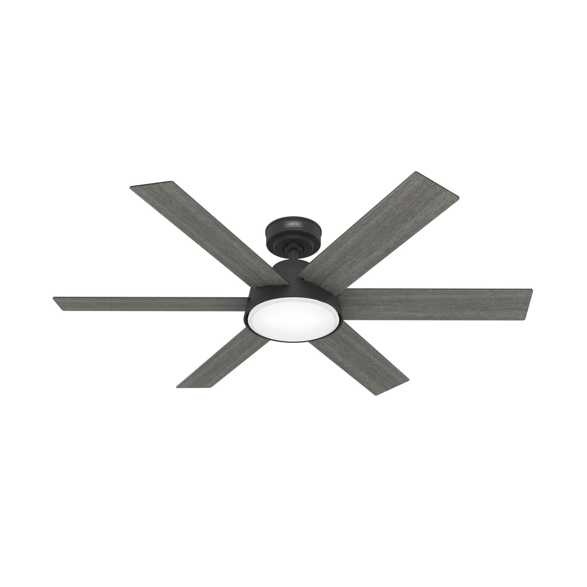 Donatella 52 Inch Ceiling Fan with Light Kit by Hunter Fan