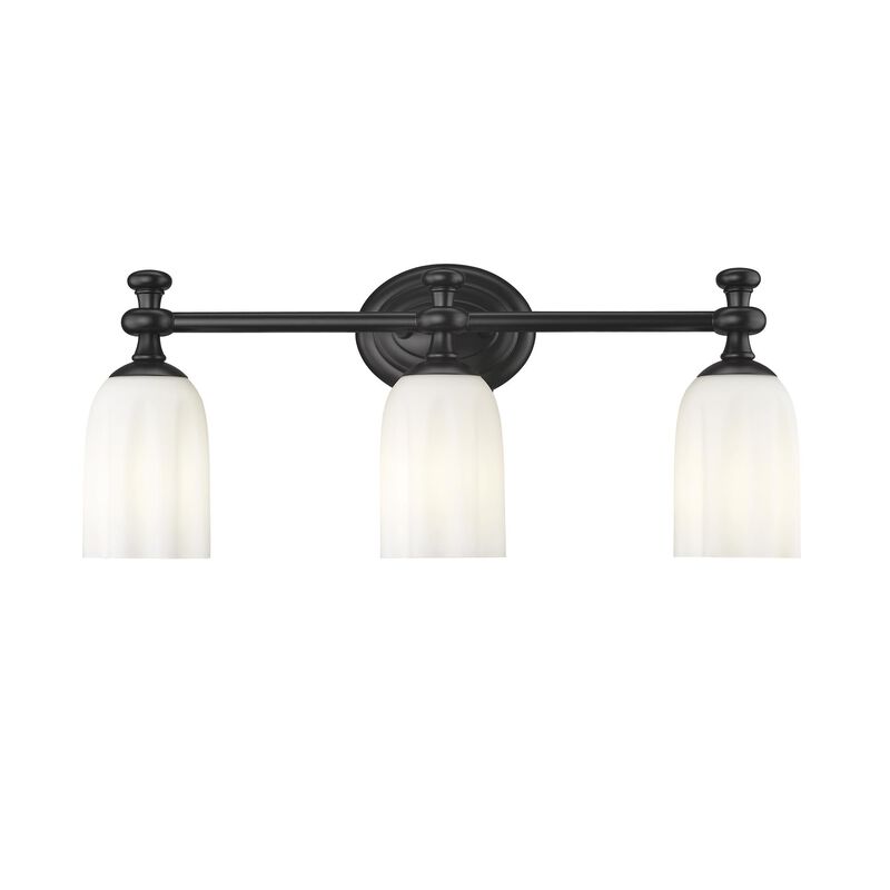 Orion 22 Inch Bath Vanity Light by Z Lite