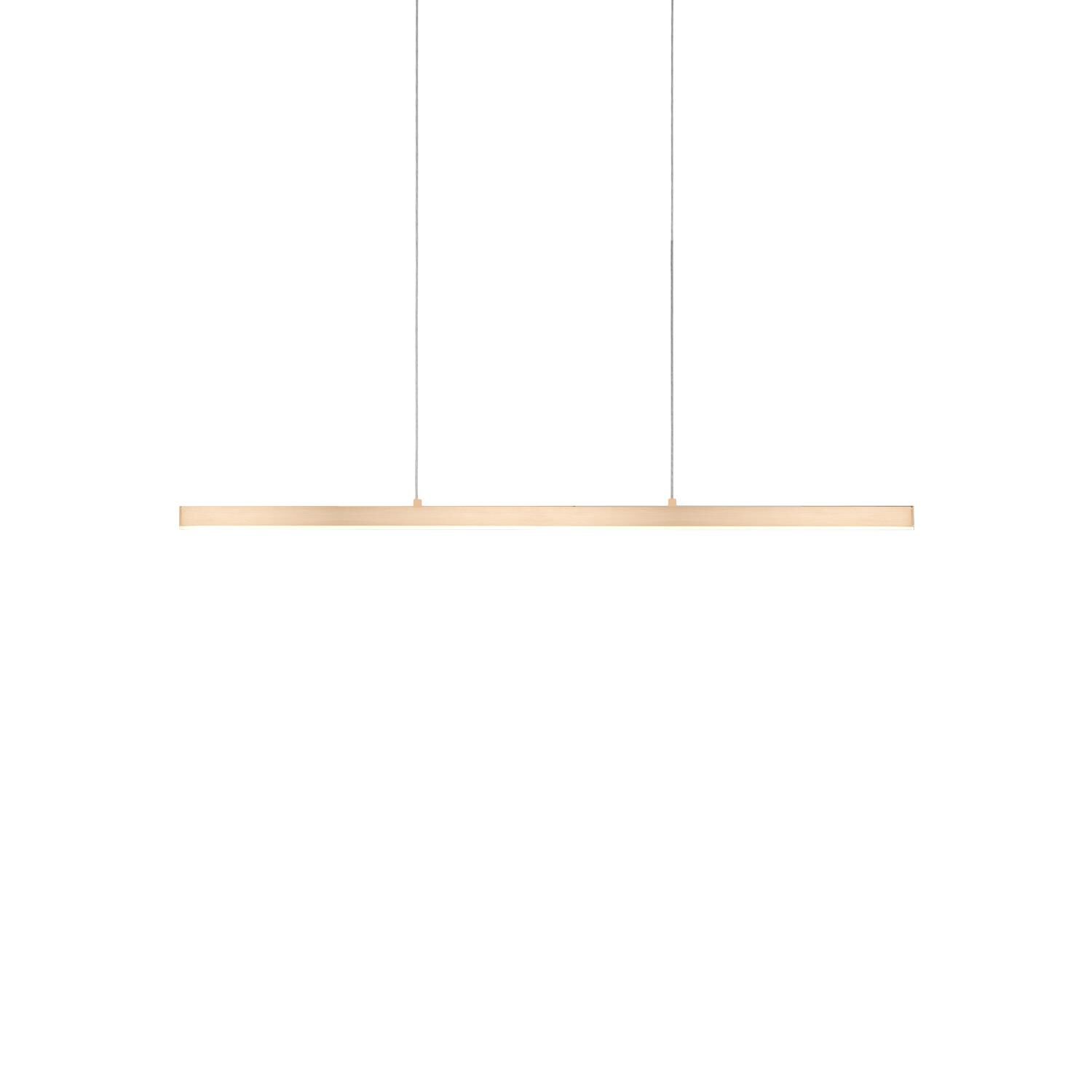 Vega 45 Inch LED Linear Suspension Light by Kuzco Lighting