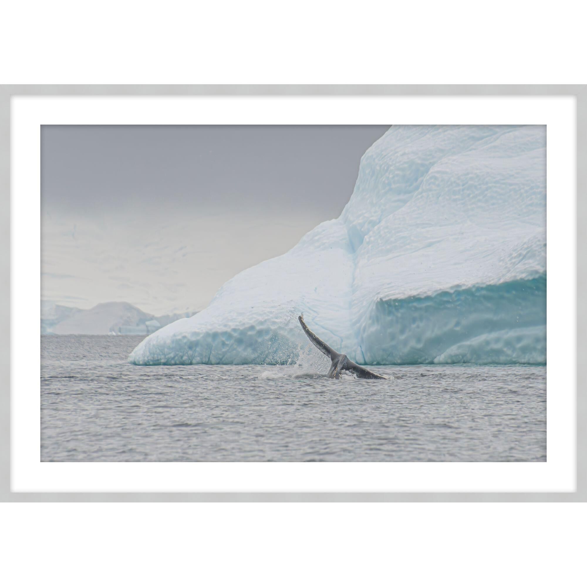 Rs Photo Glacier And Whale Print by LEVEL57