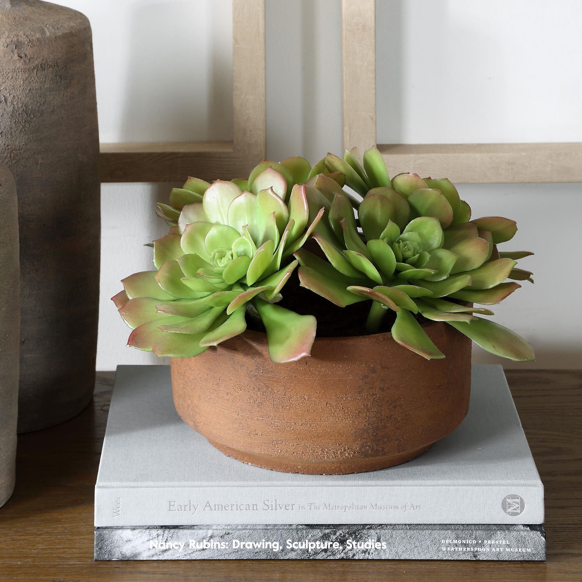 Constance Lael-Linyard Sable Succulent Botanical by Uttermost
