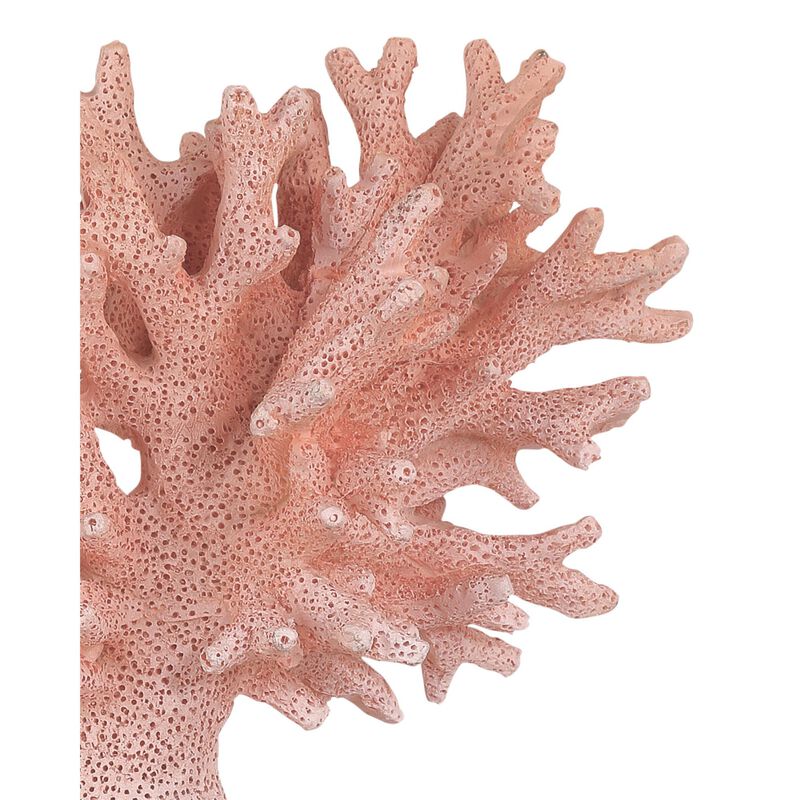 Coral Figurine Set of 2 by Currey & Company