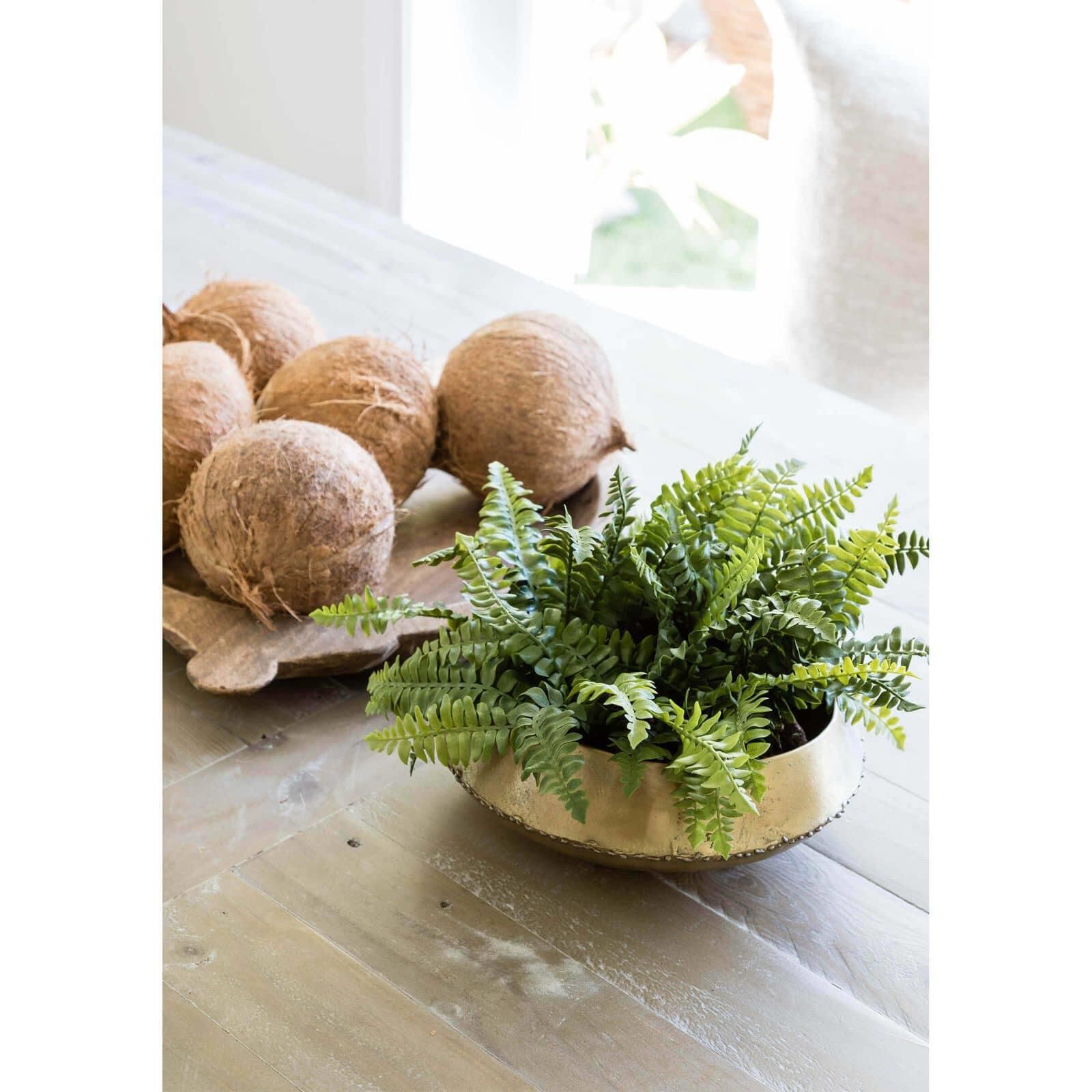 Bedouin 12 Inch Bowl by Regina Andrew