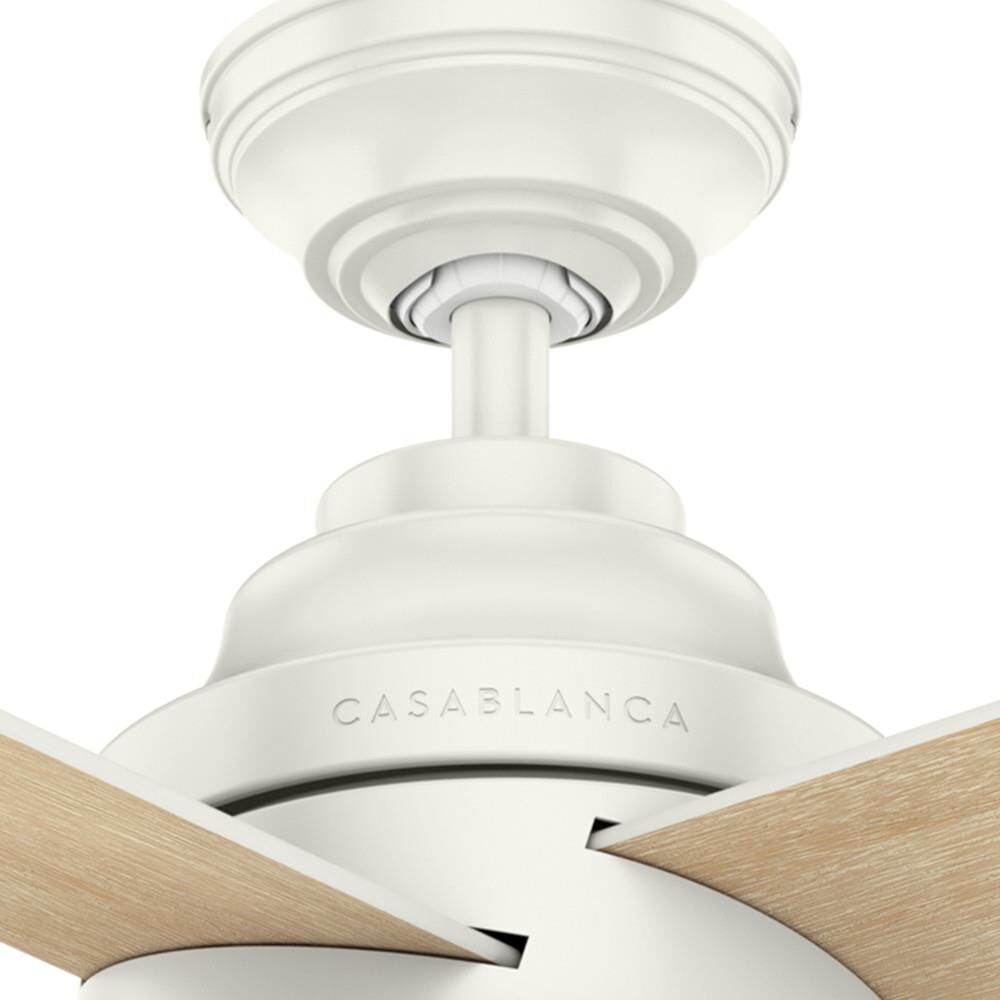 Daphne 54 Inch Ceiling Fan with Light Kit by Casablanca Fan Company