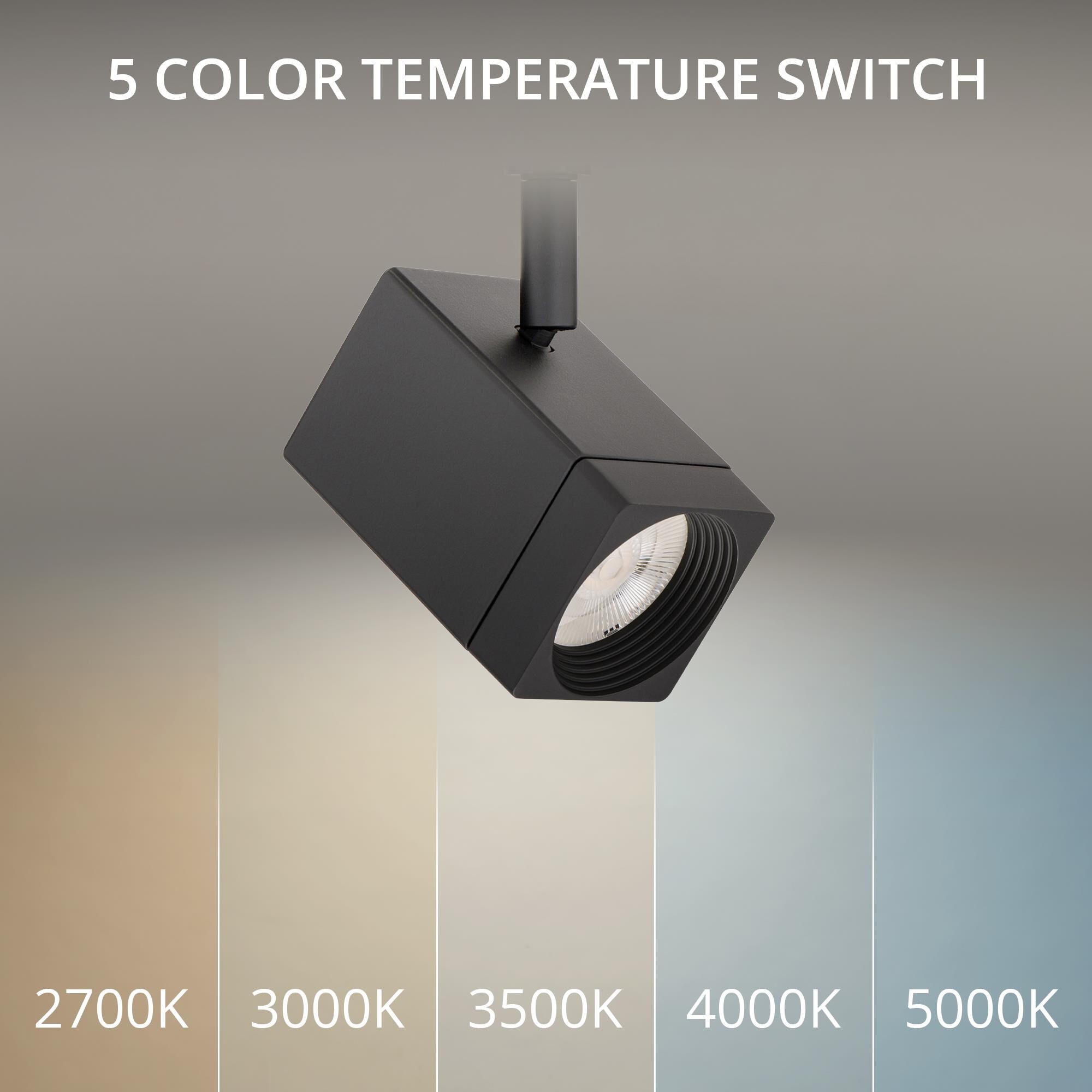 Ocularc 6 Inch Track Lighting Kit by WAC Lighting