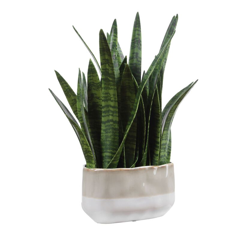 Sansera Snake Botanical by Uttermost