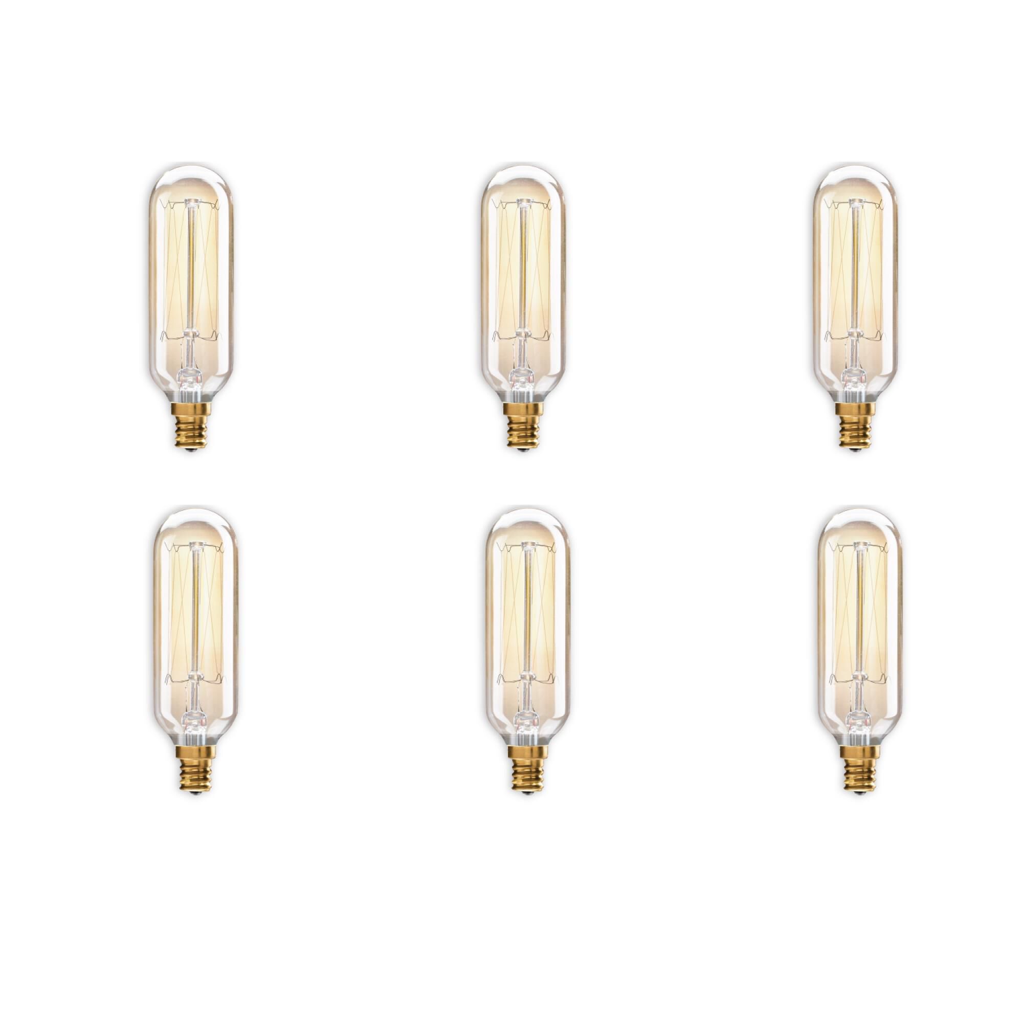 Dimmable 40 Watt 2200K T8 Incandescent Light Bulb,