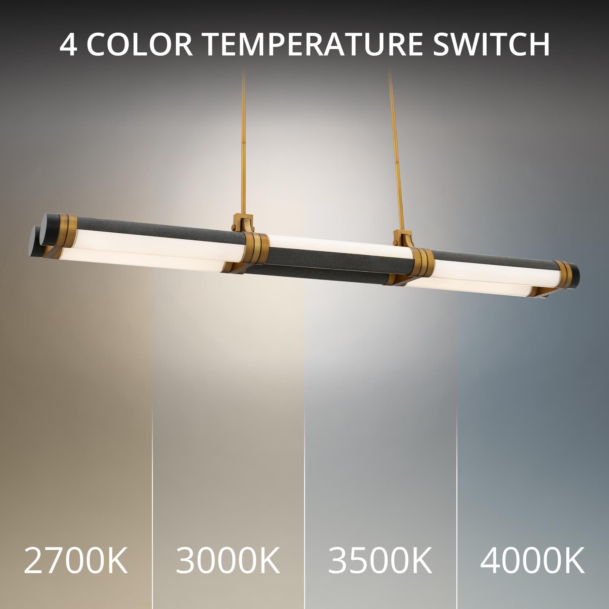 Catania 48 Inch Linear Suspension Light by Modern Forms