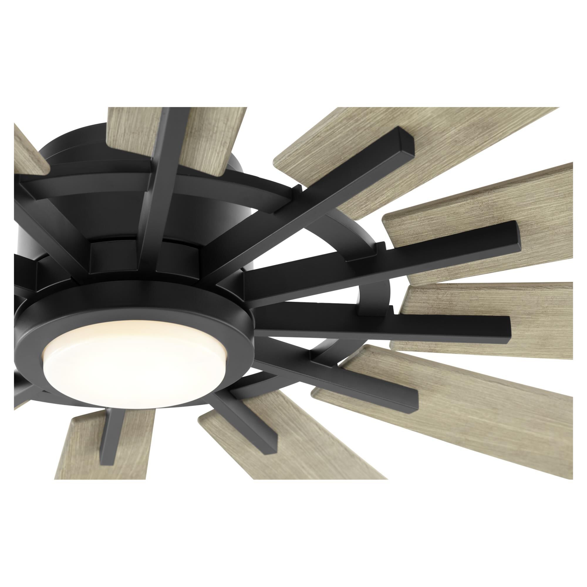 Cirque Ceiling Fan by Quorum International
