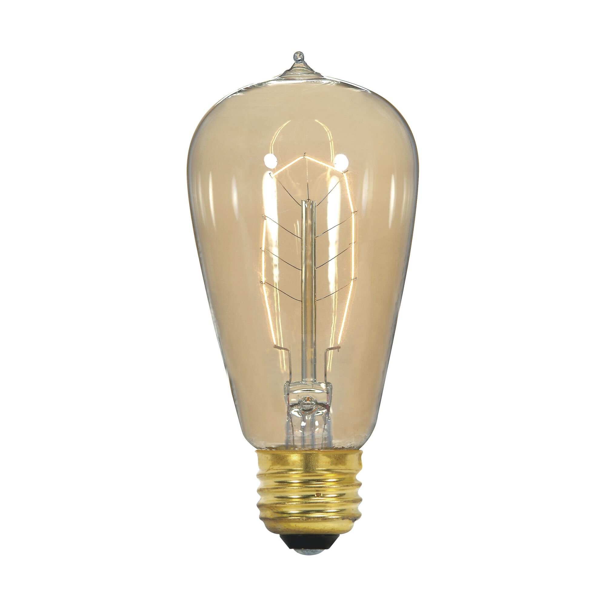 40 Watt Vintage Light Bulb by Satco