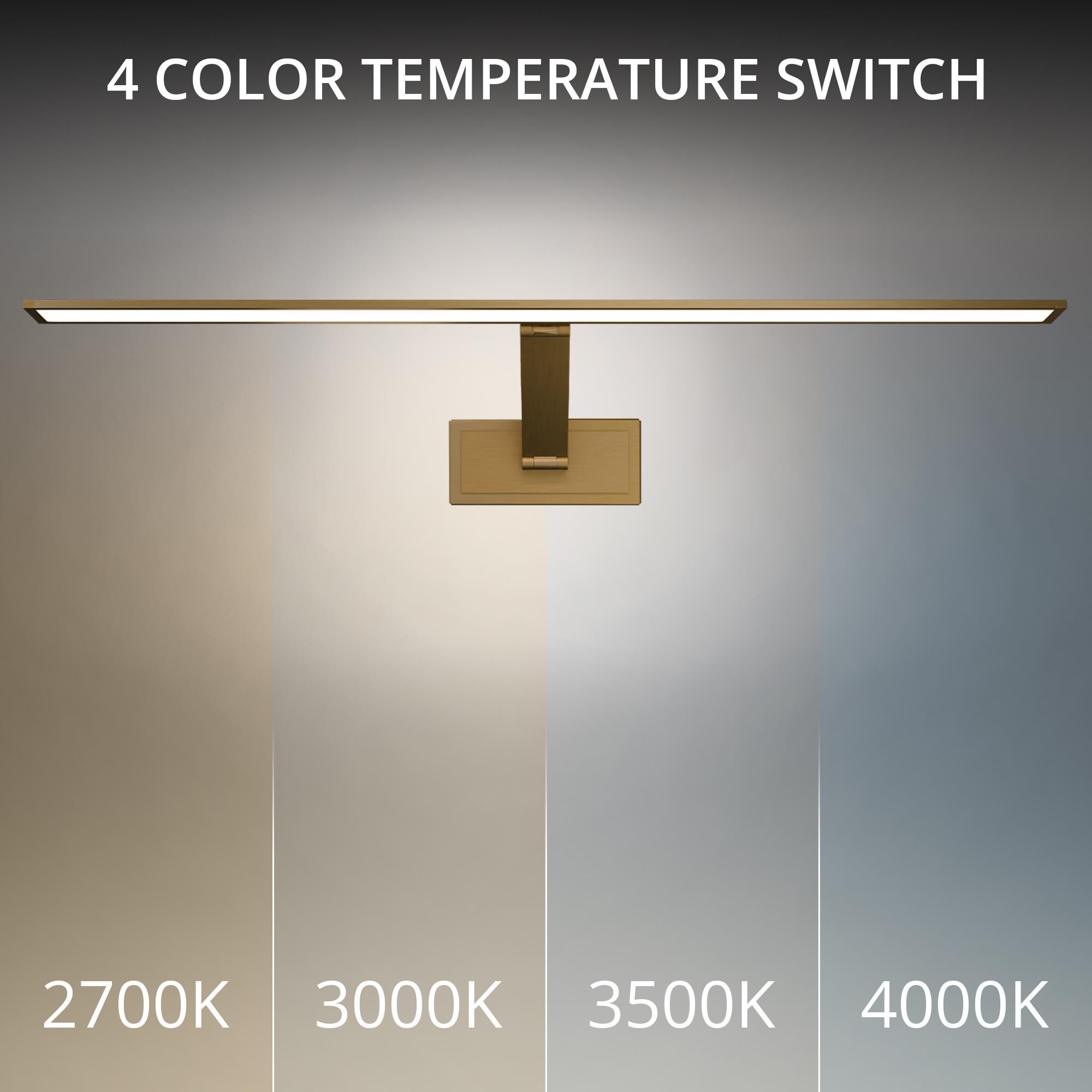 Diver 30 Inch Picture and Display Light by Modern Forms