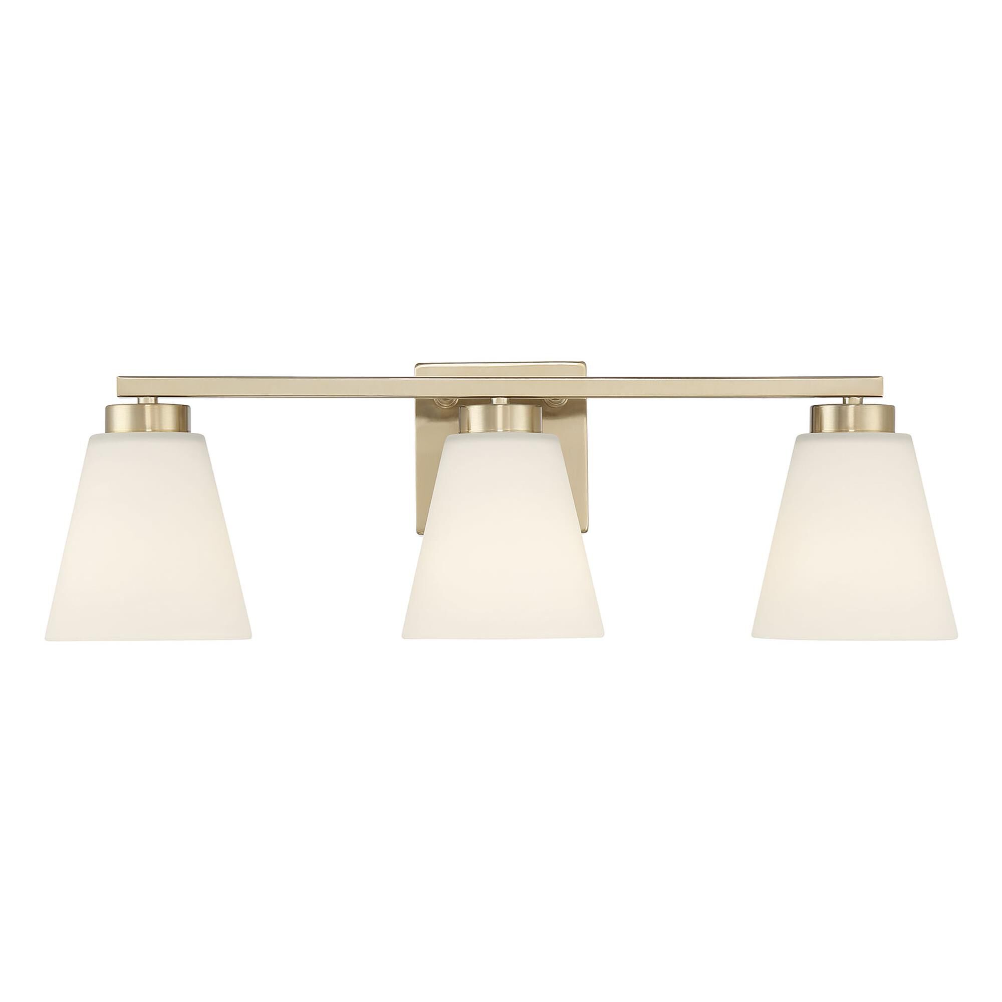 Strayhan 22 Inch Bath Vanity Light by Millennium Lighting