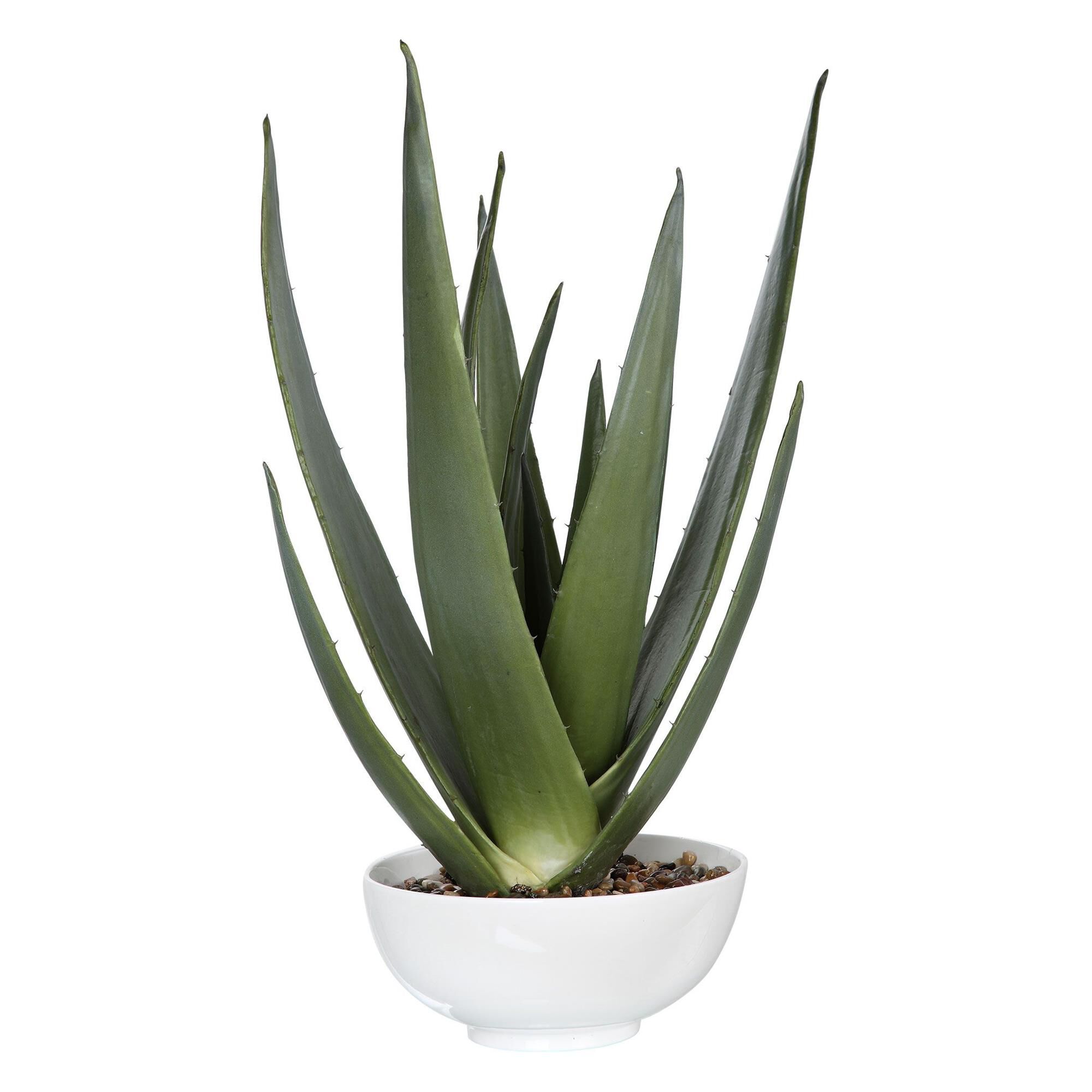 Shown in A Contemporary Aloe Vera Statement Piece, Accented With Natural Stones Set Into A Glossy White Textu finish